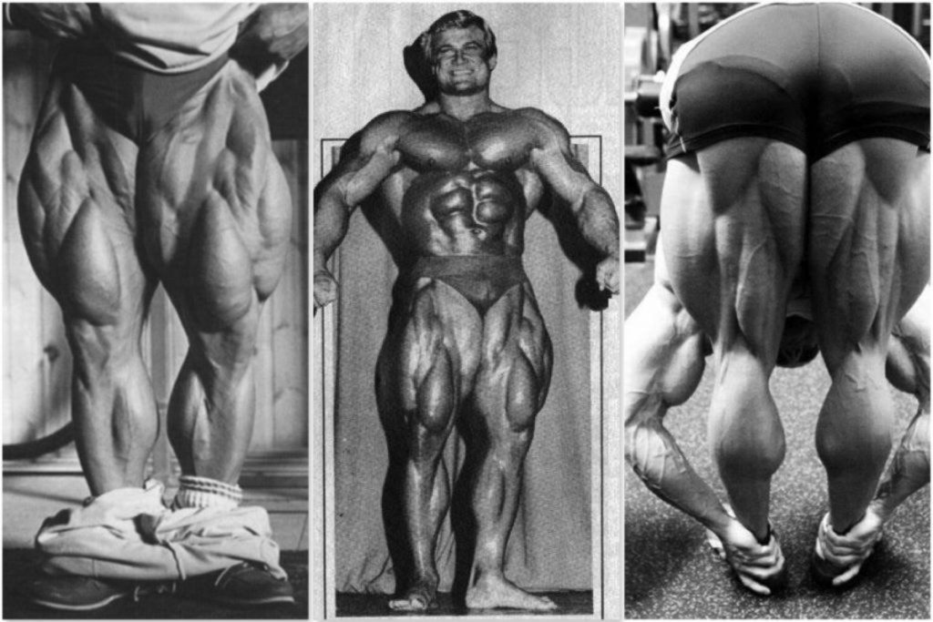 A Bodybuilder's guide﻿. - Strong Links Fitness