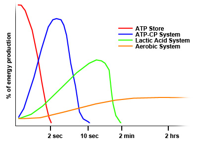 Lactic energy 2025