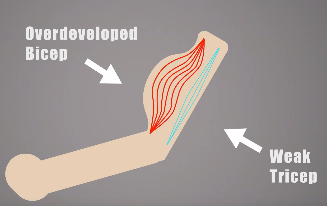 What is a muscle imbalance and how do I fix it? Strong Links Fitness